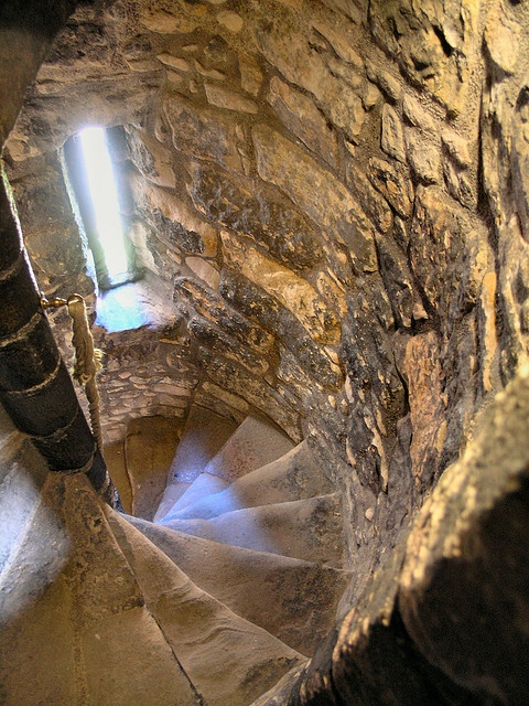 The Screaming Cellar